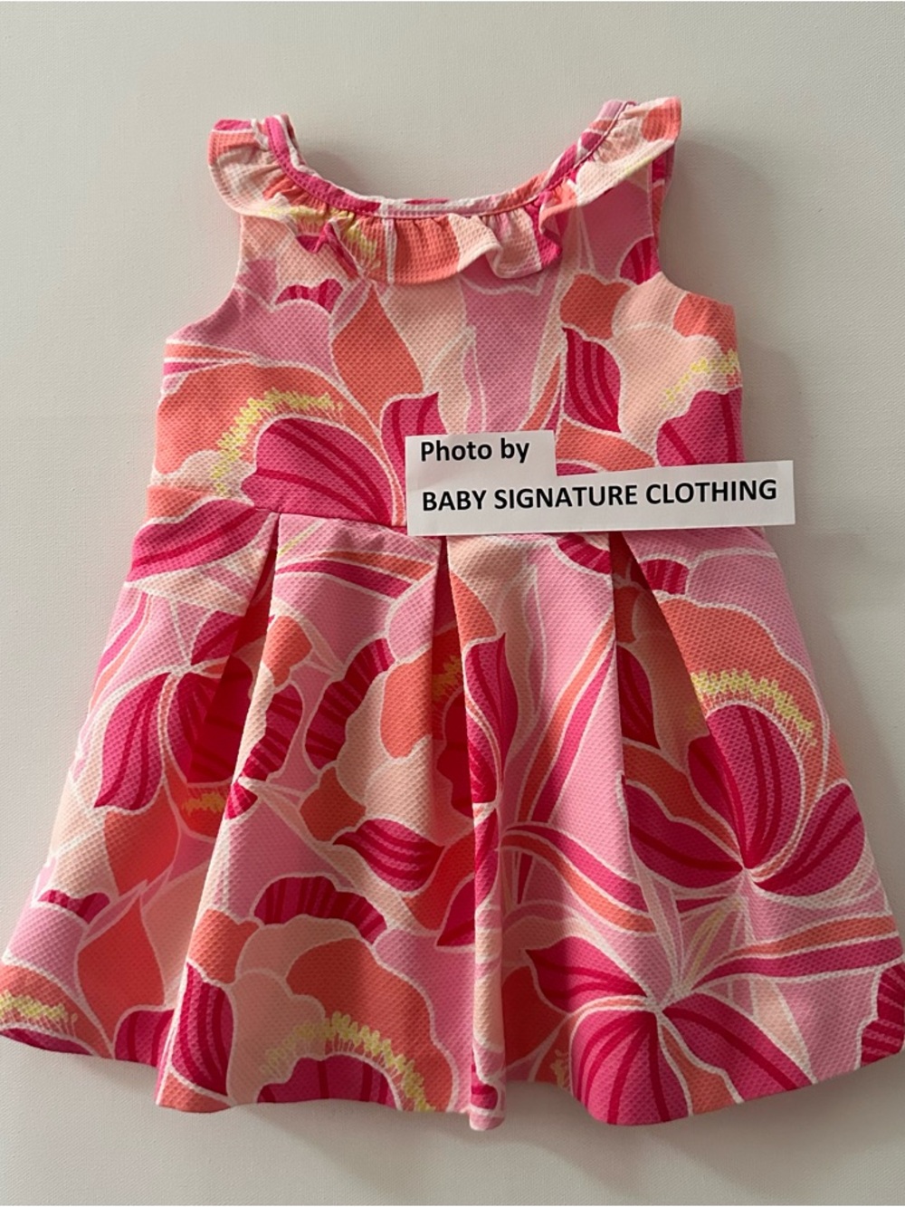 Janie and Jack 12-18 Months Pink Floral Ruffle Neck Dress Party Spring Summer